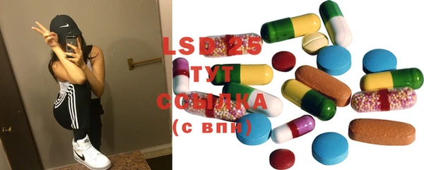 прущие грибы Медвежьегорск